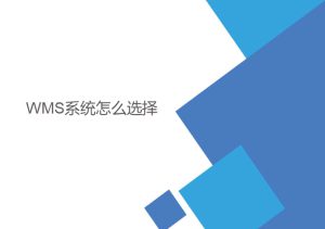 wms系統(tǒng)怎么選擇？